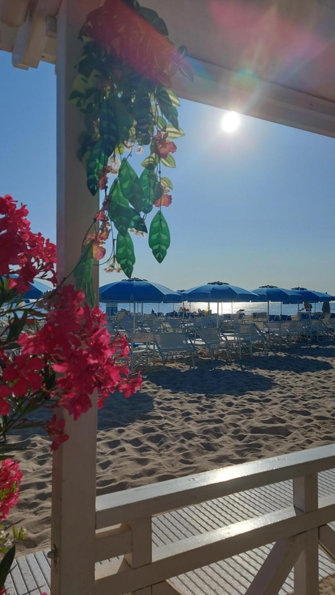 Albergo Regina Senigallia Esterno foto
